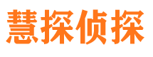 盘龙找人公司